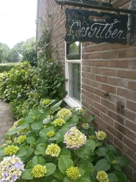Bed and Breakfast Oes Tilber - B&B Zweeloo
