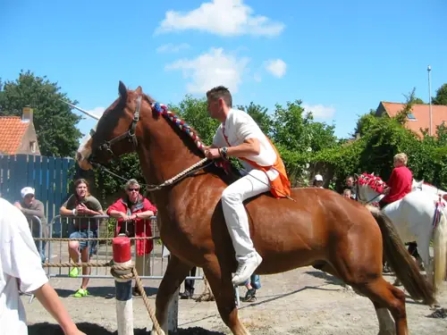 Searose - B&B Serooskerke