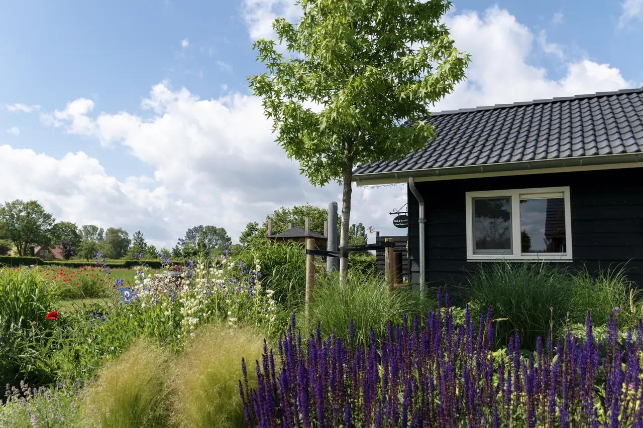 Klein Zwaluwenslag - B&B Doetinchem