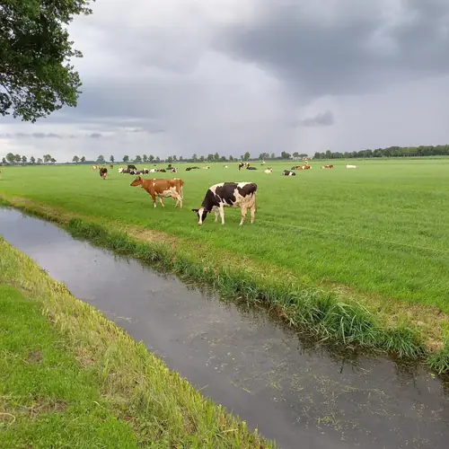 De Uitwaaij - B&B Beerzerveld