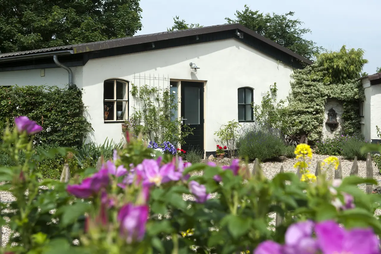 Gastenverblijf de Hamelberg - Bed and Breakfast Overasselt