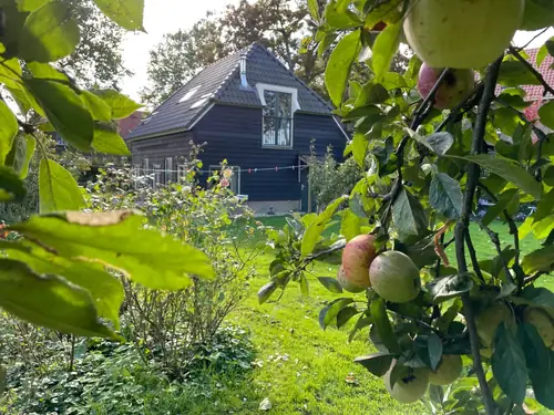 Onder de Poolster - Bed and Breakfast Dieden
