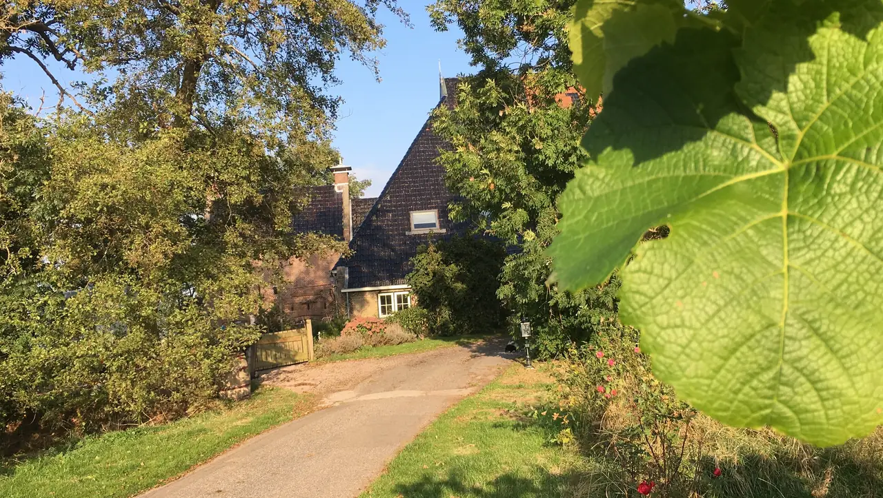 De Heidepleats - B&B Sint Nicolaasga