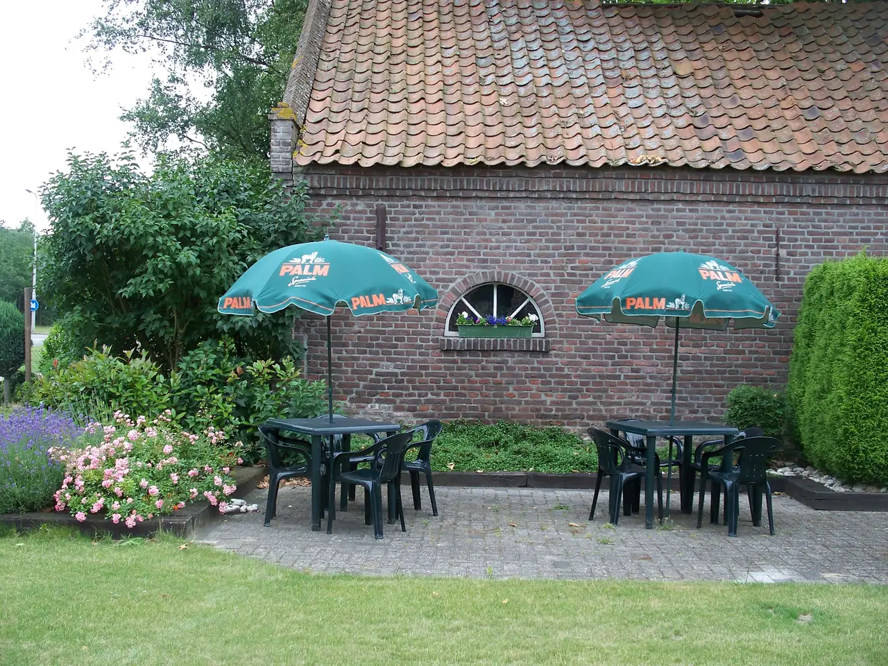 Hoeve Heidonk - B&B Horn