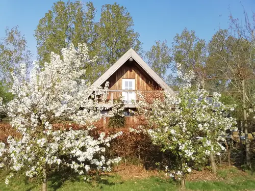 B&B Bij de Boompjes - B&B Aarle-Rixtel