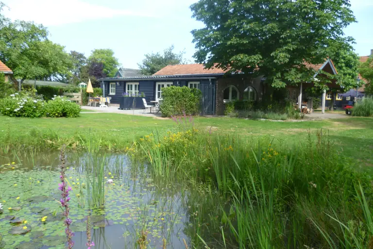 Beukenhof - Bed and Breakfast Molenschot