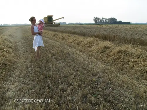 De Schipper - B&B Wemeldinge