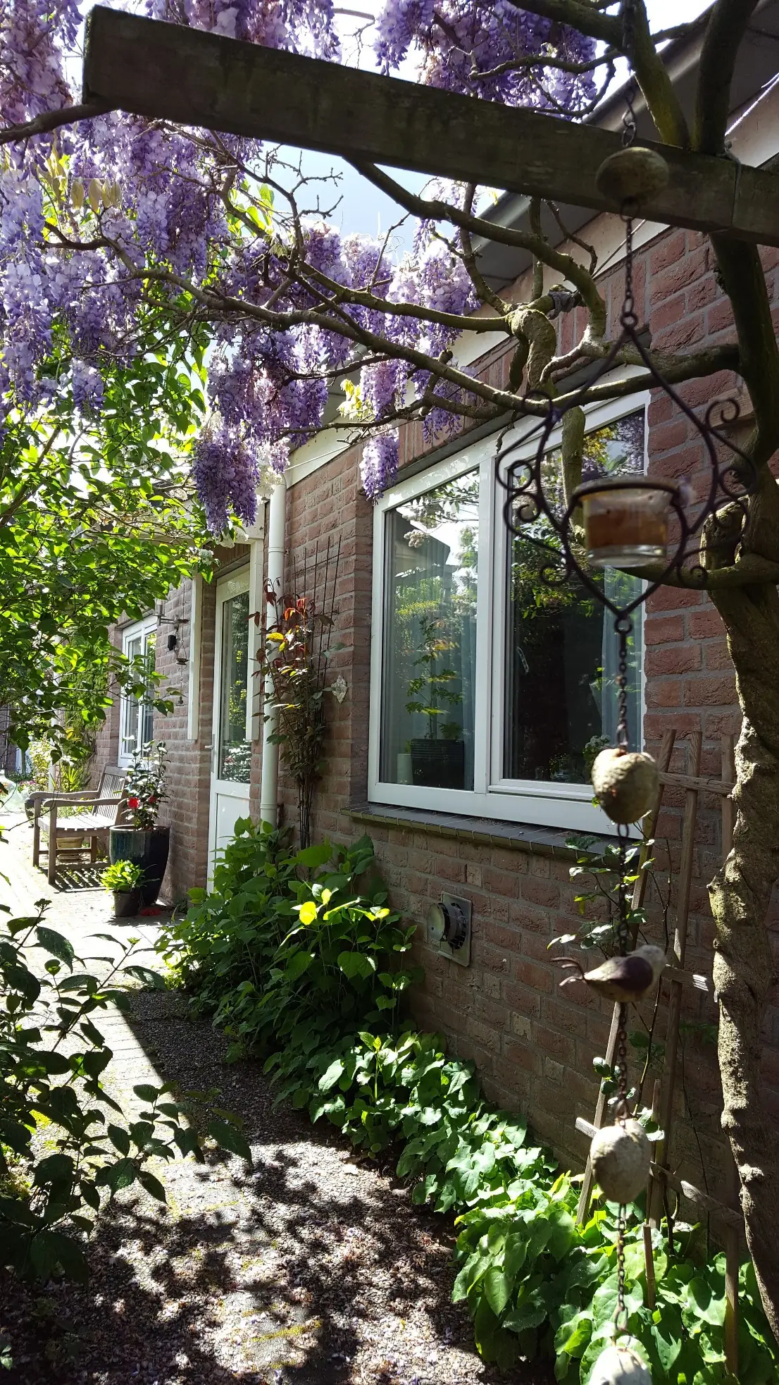 Onder de Blauweregen - B&B Groesbeek