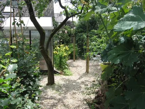 Somershuis - B&B Baarlo