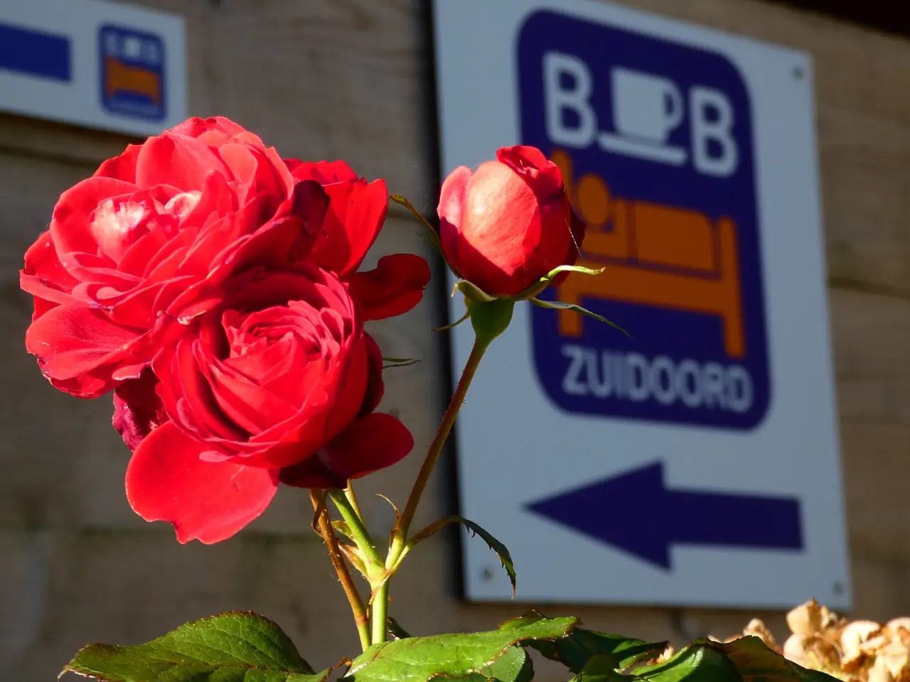 B&B Zuidoord - Bed and Breakfast Zuidland