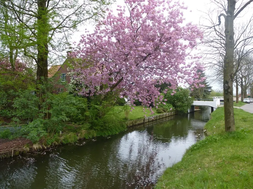 Bed and Breakfast Leidsche Rijn - B&B Utrecht