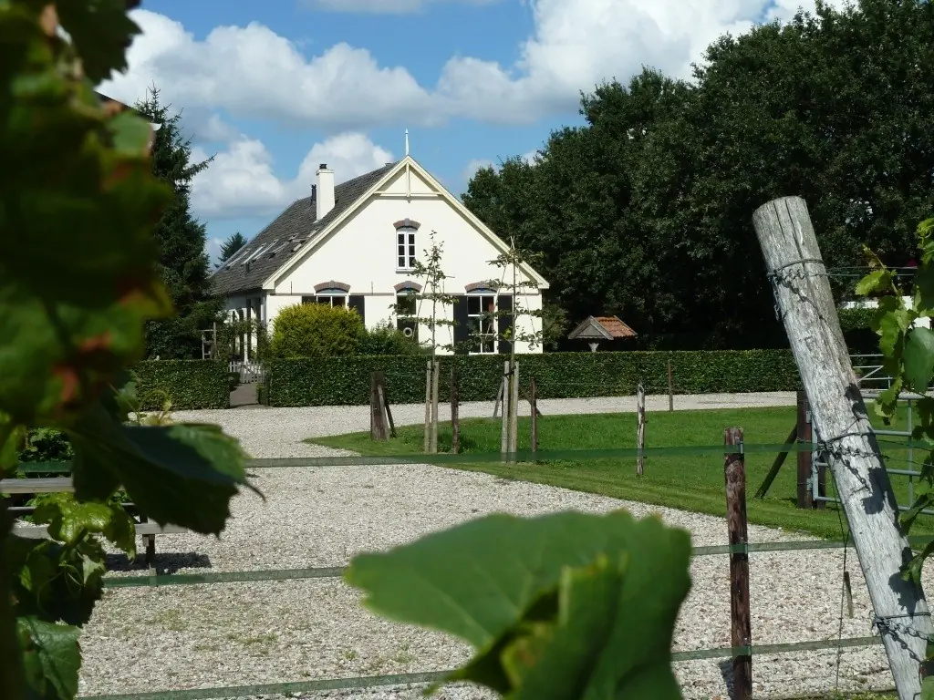 Hofstede De Groote Laar - Bed and Breakfast Spankeren