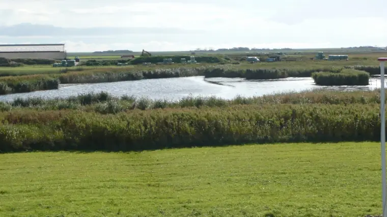 Fam. Schraag - Bed and Breakfast De Cocksdorp