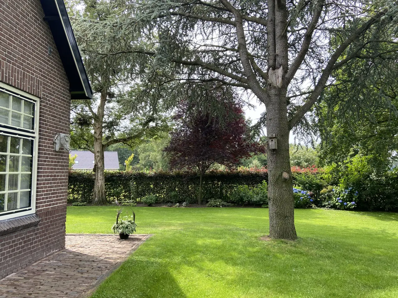 “Charmant Buiten” - B&B Zandhuizen