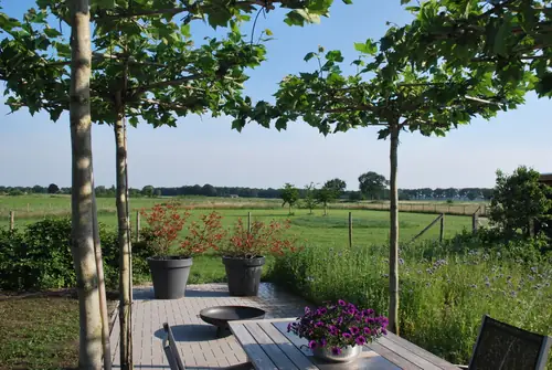 BuitenGewoon - B&B Chaam