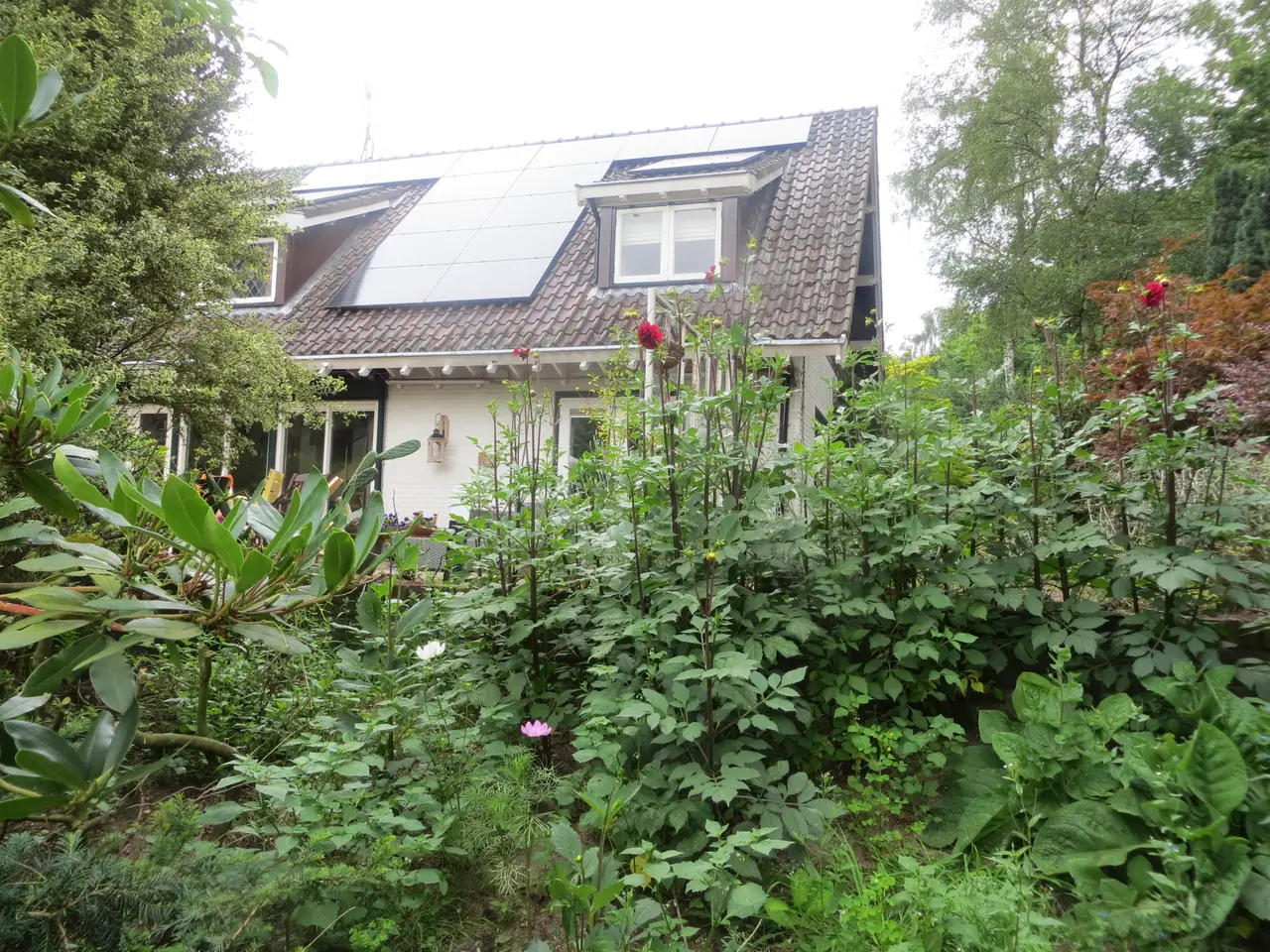 De Ruempol - Bed and Breakfast Hall