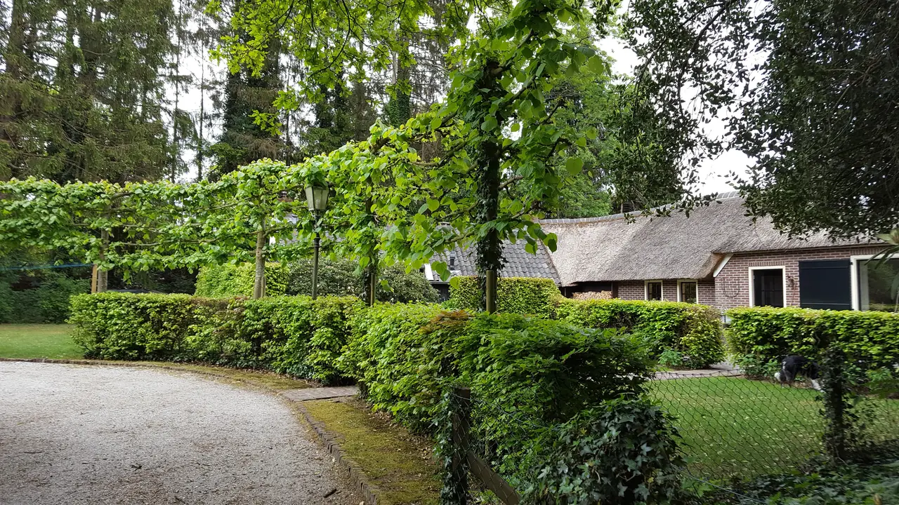 B&B Bosch en Paerd - Bed and Breakfast Drouwen