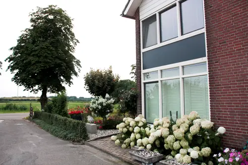 Schapen en Slapen - B&B Waalwijk