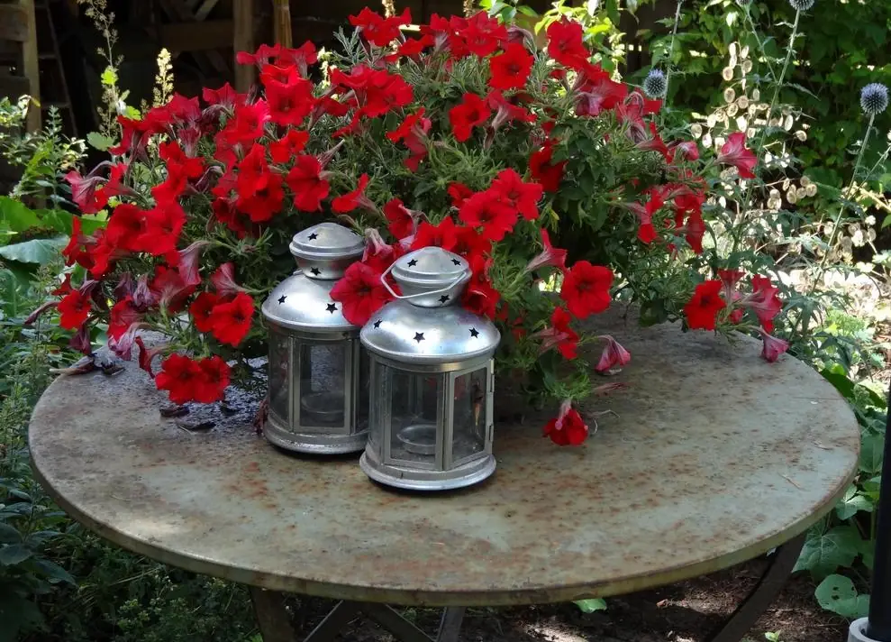 Bedje en Kadetje - Bed and Breakfast Klijndijk