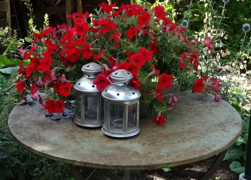 Bedje en Kadetje - Bed and Breakfast Klijndijk