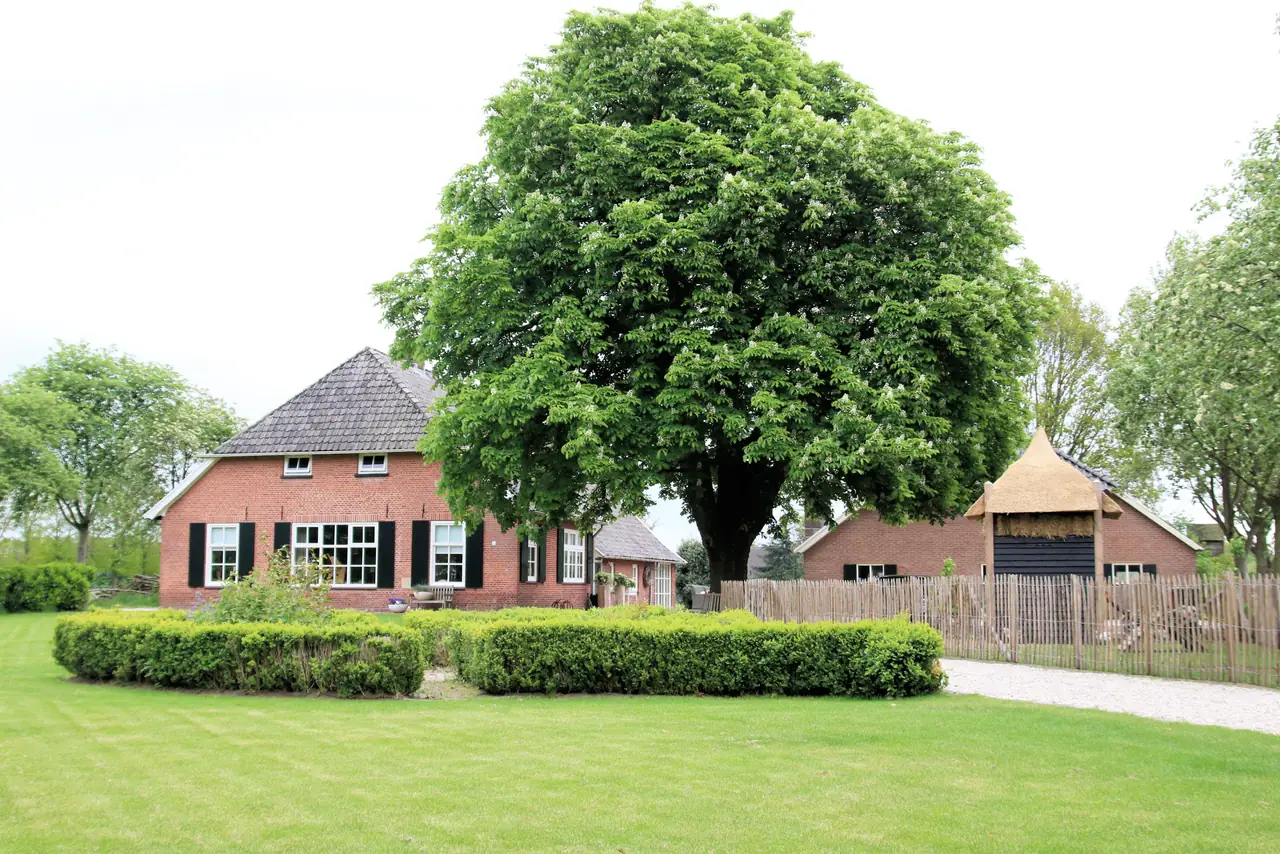 Bed and Breakfast de Groes - Bed and Breakfast Borculo