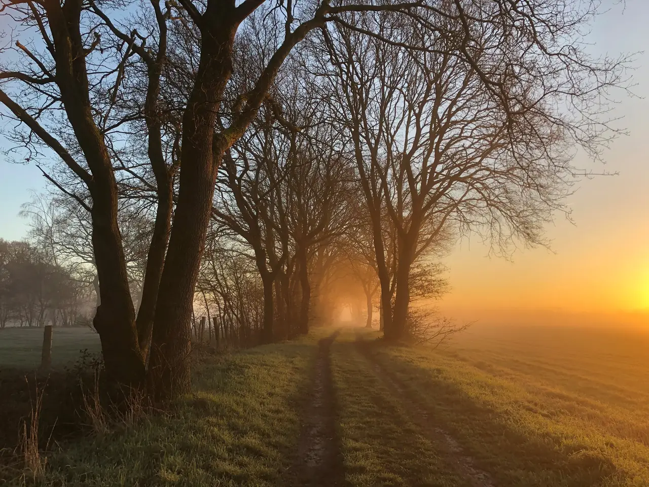 Aan de Aelder Esch - B&B Aalden