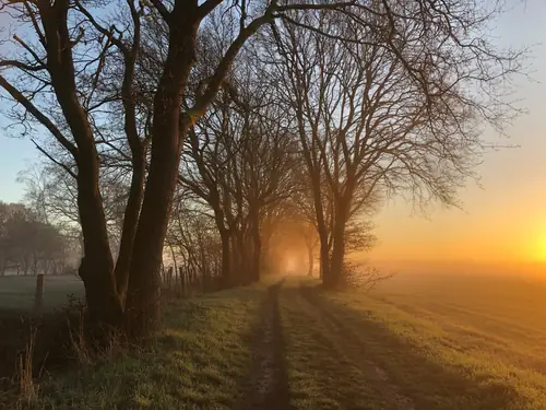 Aan de Aelder Esch - B&B Aalden