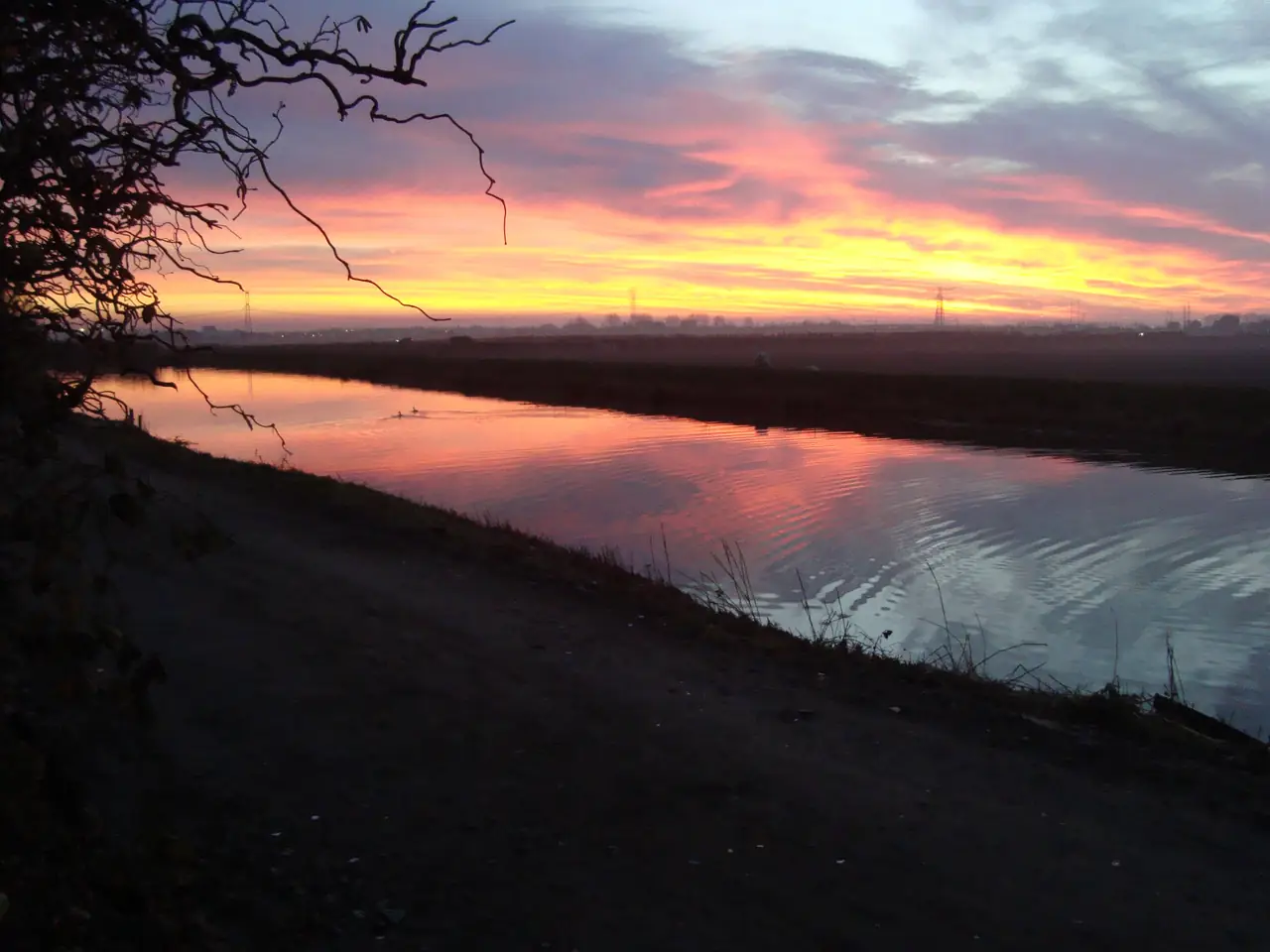 de Regenboog - B&B Moerkapelle