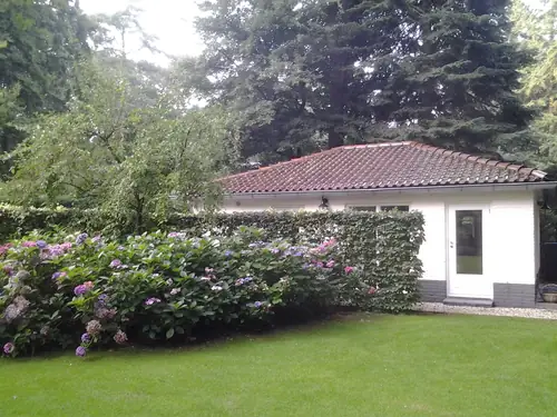 Klein Heidehorst - Bed and Breakfast Driebergen-Rijsenburg