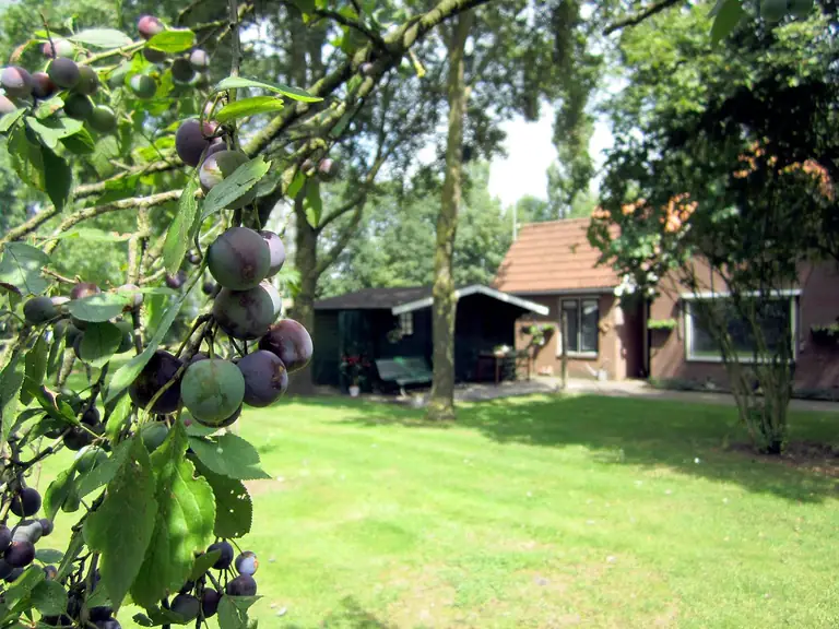 Rustique - Bed and Breakfast Wapenveld
