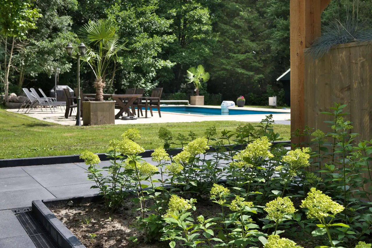 Bed and Breakfast Westerveen - Bed and Breakfast Haren