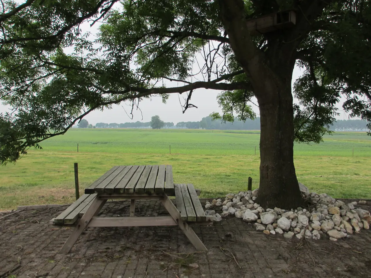 B&B Boerderij Wijtvliet - B&B Langeweg