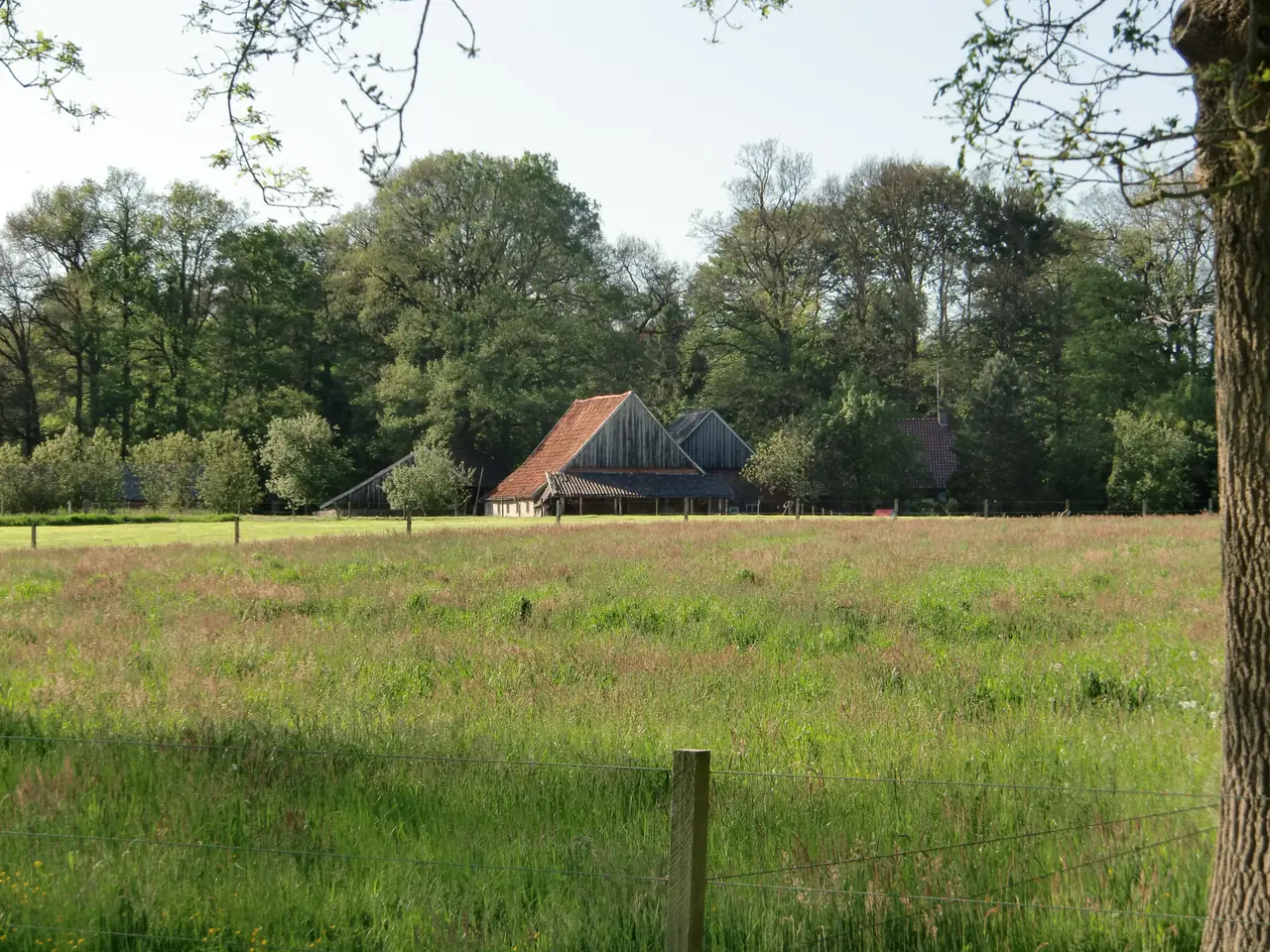 Erve Punte - Bed and Breakfast Losser