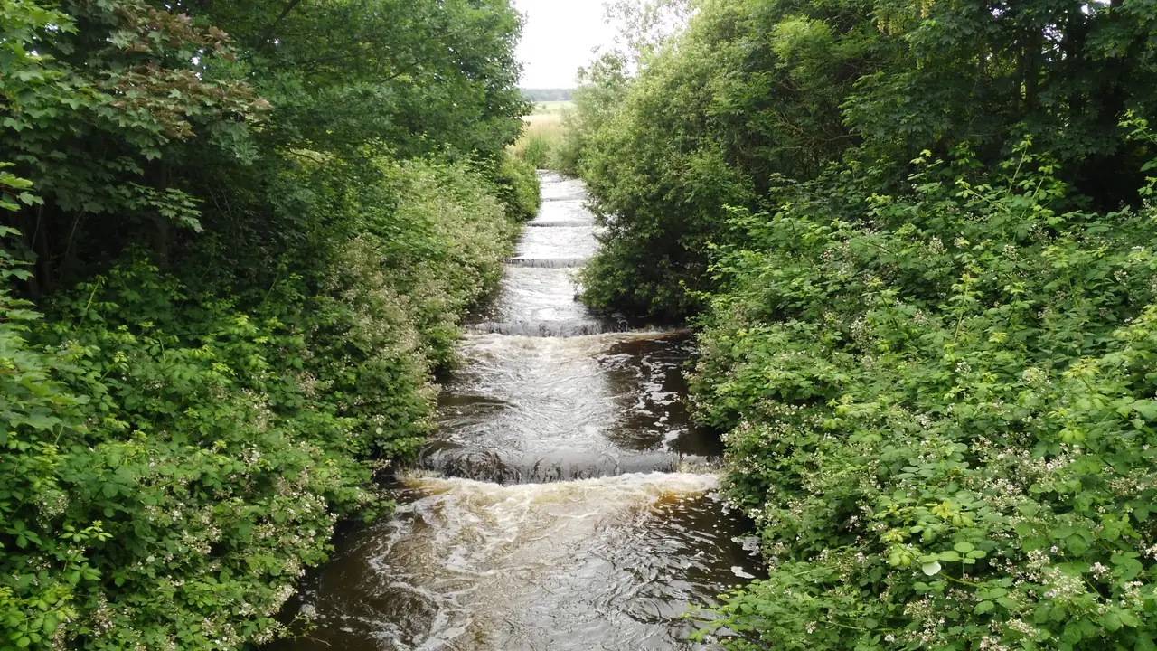 Erve Praestinck - B&B Stegeren