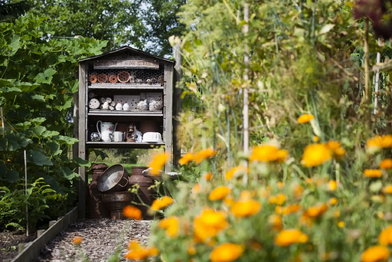 Blauwe Steen - B&B Beuningen