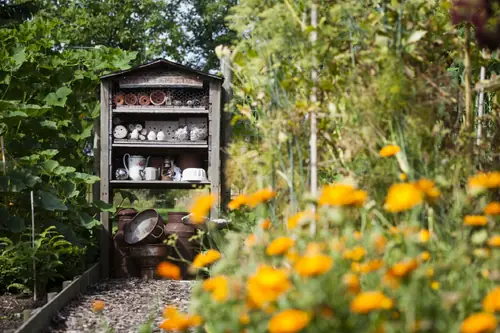 Blauwe Steen - B&B Beuningen