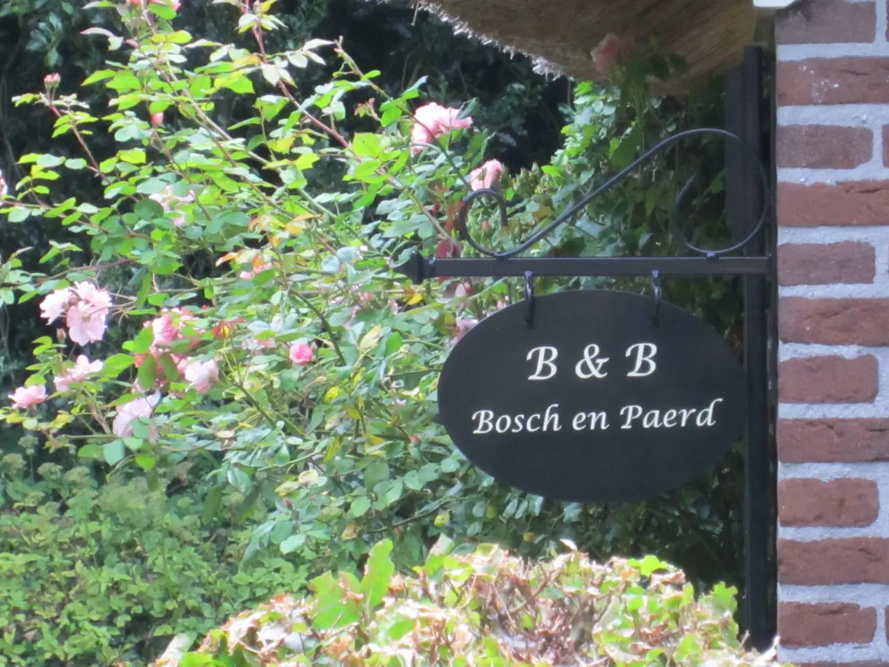 B&B Bosch en Paerd - B&B Drouwen
