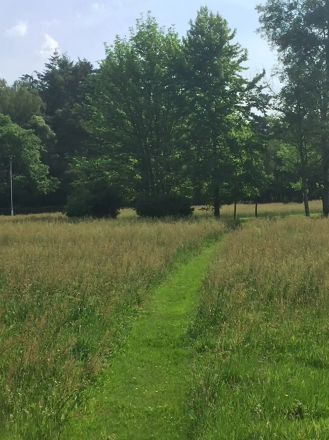 Bed, Brood, Brocante - Chambres d’hôtes Enschede