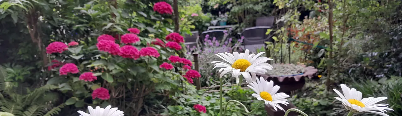 De Gasterije Culemborg - B&B Culemborg