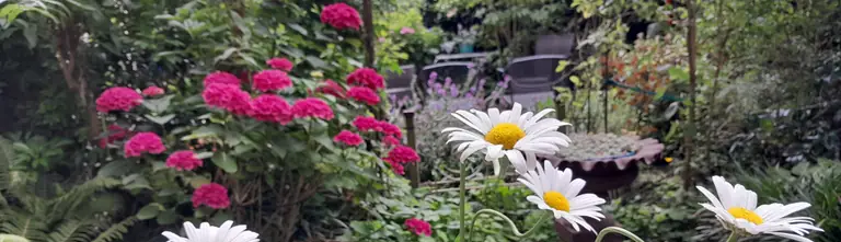 De Gasterije Culemborg - Bed and Breakfast Culemborg