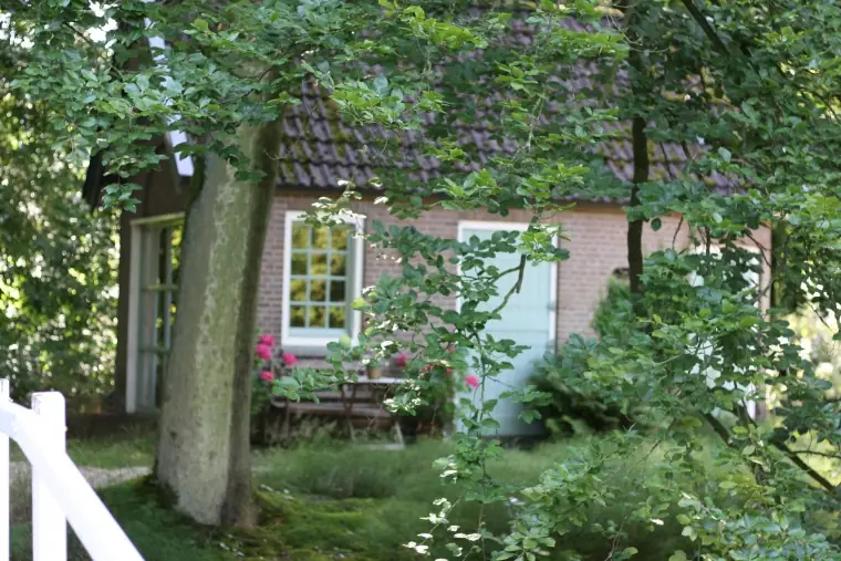 Het Waterhoen - Bed and Breakfast Olst
