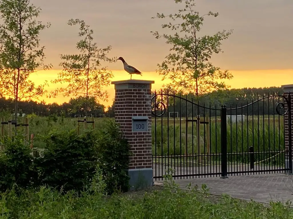 Bed & Breakfast landgoed Burghmalsen - Bed and Breakfast Buurmalsen