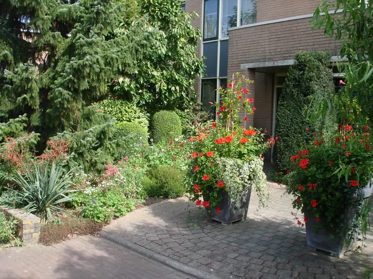 de Zomervlinder - Bed and Breakfast Houten