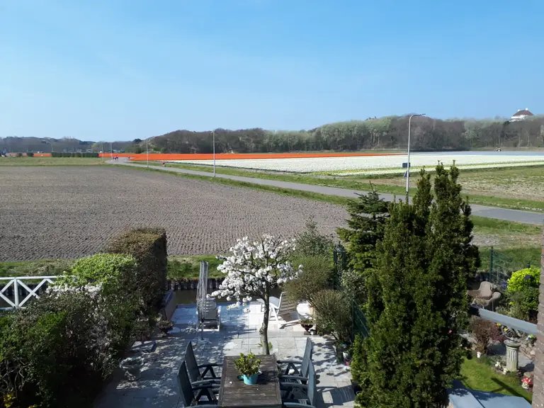 Maria's B&B - B&B Noordwijk aan Zee