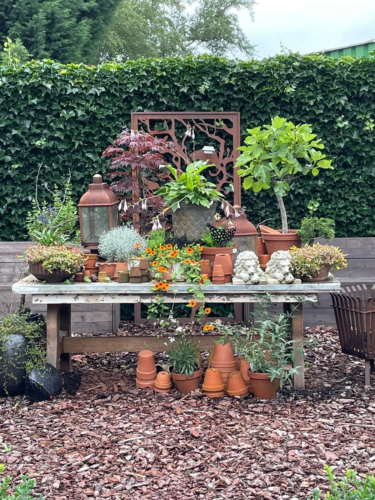 Casa di Fiore - Bed and Breakfast Ospel