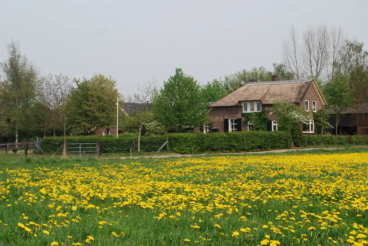 De Molenkolk - B&B Steenderen