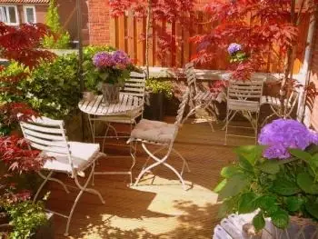 Bed & Breakfast De Hedera - B&B Leeuwarden