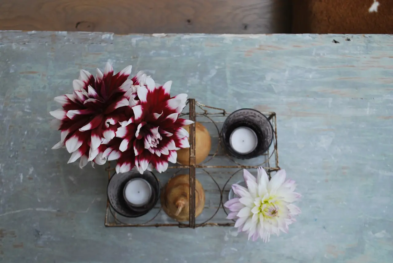 De Tuinkamer - B&B Koudekerke