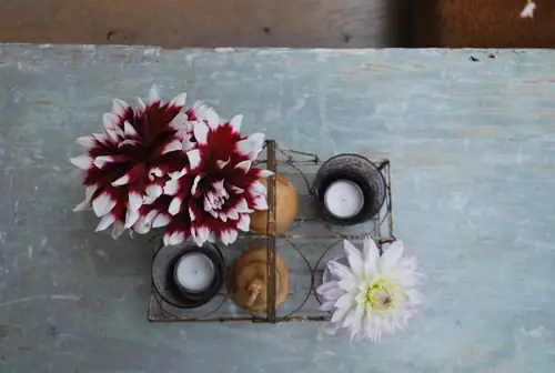 De Tuinkamer - B&B Koudekerke