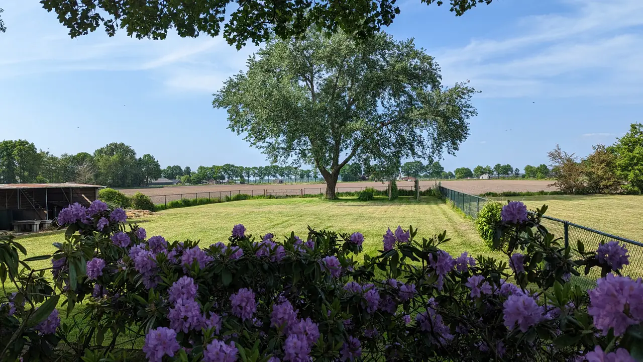 B&B Berghs Buitenleven - Bed and Breakfast Berghem